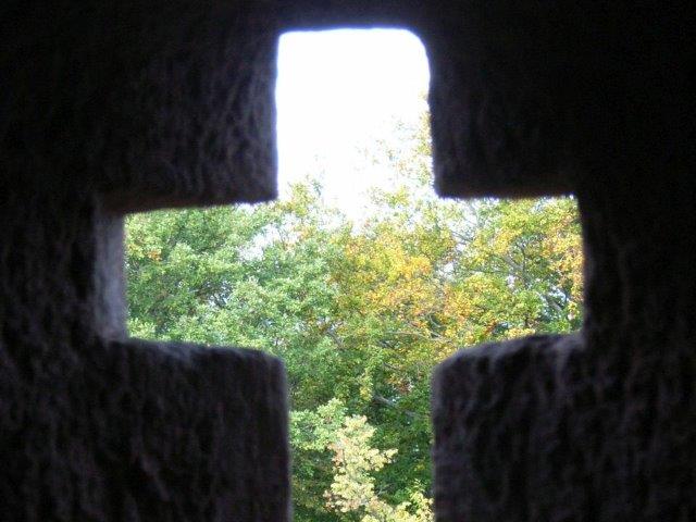 Wald, durch Fenster in Form eines Kreuzes gesehen